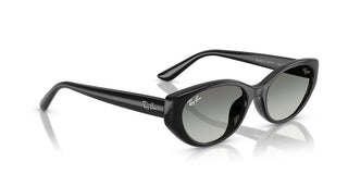 Ray-Ban RB 4457D unisex 0 Sunglasses