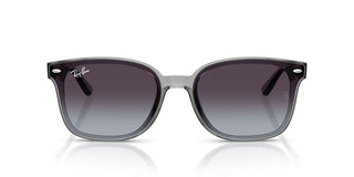 Ray-Ban RB 4461D unisex 0 Sunglasses