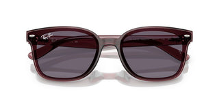 Ray-Ban RB 4461D unisex 0 Sunglasses