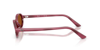 Ray-Ban RB 4472 unisex Havana Oval Sunglasses