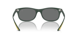 Ray-ban Rb 4607m Unisex Green Squared Sunglasses