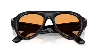 Ray-Ban RB 4925 unisex Black Pilot Sunglasses