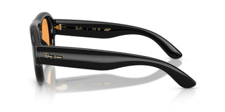 Ray-Ban RB 4925 unisex Black Pilot Sunglasses