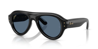 Ray-Ban RB 4925 unisex Black Pilot Sunglasses