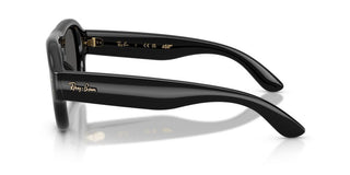Ray-Ban RB 4925 unisex Black Pilot Sunglasses