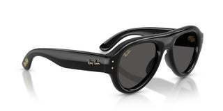 Ray-Ban RB 4925 unisex Black Pilot Sunglasses