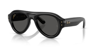 Ray-Ban RB 4925 unisex Black Pilot Sunglasses