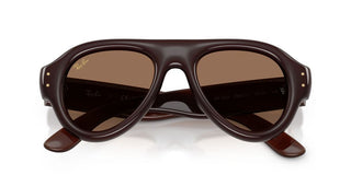 Ray-Ban RB 4925 unisex Brown Pilot Sunglasses