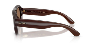 Ray-Ban RB 4925 unisex Brown Pilot Sunglasses