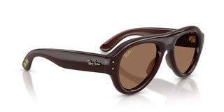 Ray-Ban RB 4925 unisex Brown Pilot Sunglasses