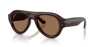 Ray-Ban RB 4925 unisex Brown Pilot Sunglasses