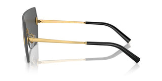 Ralph Lauren Rl 7085 Women Grey Shield Sunglasses