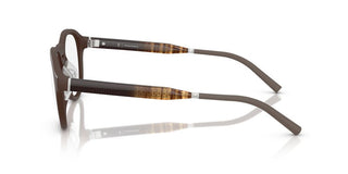 Oliver Peoples R-8r Ov 5557u Unisex Brown Pantos Eyeglasses
