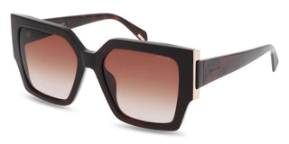 Police Secret 1 Splr21 Women Havana Squared Sunglasses