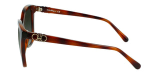 Salvatore Ferragamo SF1026S women Havana Butterfly Sunglasses