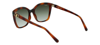 Salvatore Ferragamo SF1026S women Havana Butterfly Sunglasses