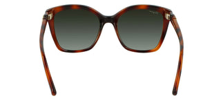 Salvatore Ferragamo SF1026S women Havana Butterfly Sunglasses