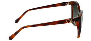 Salvatore Ferragamo SF1026S women Havana Butterfly Sunglasses