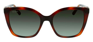 Salvatore Ferragamo SF1026S women Havana Butterfly Sunglasses