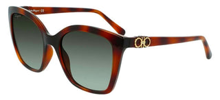 Salvatore Ferragamo SF1026S women Havana Butterfly Sunglasses