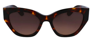 Salvatore Ferragamo SF1107S women Brown Geometric Sunglasses
