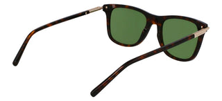 Salvatore Ferragamo Sf2028s Unisex Havana Squared Sunglasses