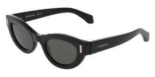 Salvatore Ferragamo Sf2062se Women  Cat Eye Sunglasses