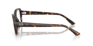 Ray-ban Shea Rx 7258 Unisex Havana  Eyeglasses