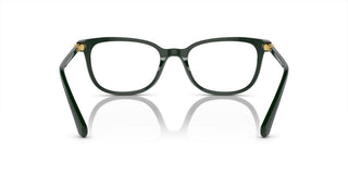 Swarovski SK2003 women Green Squared Eyeglasses