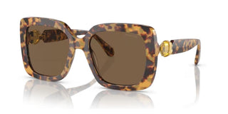 Swarovski Sk6001 Women Havana  Sunglasses
