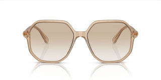 Swarovski SK6003 women Brown Oversize Sunglasses