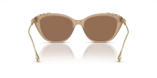 Swarovski SK6010 women Brown Cat Eye Sunglasses