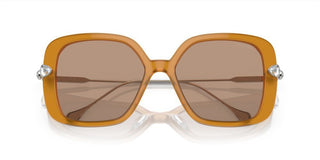 Swarovski Sk6011 Women Brown Butterfly Sunglasses