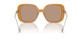 Swarovski Sk6011 Women Brown Butterfly Sunglasses