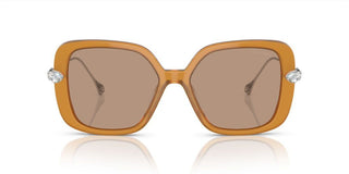 Swarovski Sk6011 Women Brown Butterfly Sunglasses