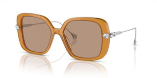 Swarovski Sk6011 Women Brown Butterfly Sunglasses