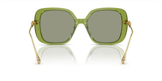 Swarovski Sk6011 Women Green Butterfly Sunglasses