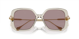 Swarovski Sk6011 Women Grey Butterfly Sunglasses