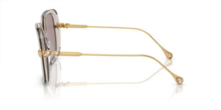 Swarovski Sk6011 Women Grey Butterfly Sunglasses