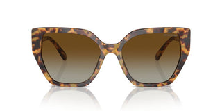Swarovski Sk6016 Women Havana Butterfly Sunglasses
