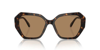 Swarovski Sk6017 Women Havana Geometric Sunglasses