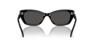Swarovski Sk6019 Women Black Cat Eye Sunglasses