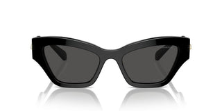 Swarovski Sk6021 Women Black Cat Eye Sunglasses