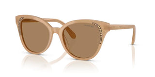Swarovski SK6031 women Brown Butterfly Sunglasses