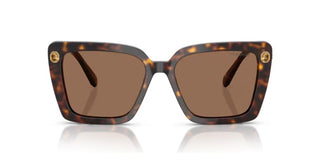 Swarovski SK6032 women Havana Squared Sunglasses