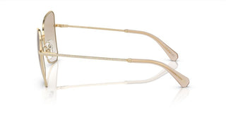 Swarovski SK7008 women Gold Butterfly Sunglasses