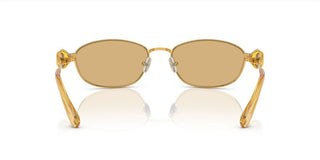 Swarovski SK7010 women Gold Squared Sunglasses