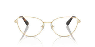 Swarovski Sk 1012 Women Gold Cat Eye Eyeglasses