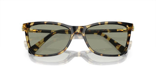 Swarovski SK 6004 women Havana Cat Eye Sunglasses