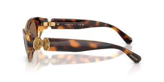 Swarovski SK 6036U women Havana Cat Eye Sunglasses